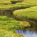 36 Fotozirkel Mannheim e.V. Barbara Giersch